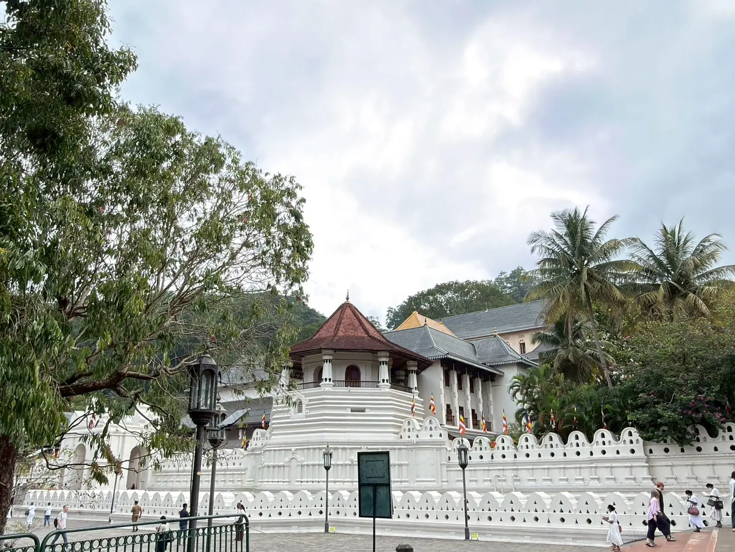 Sri Lanka Wildlife 04